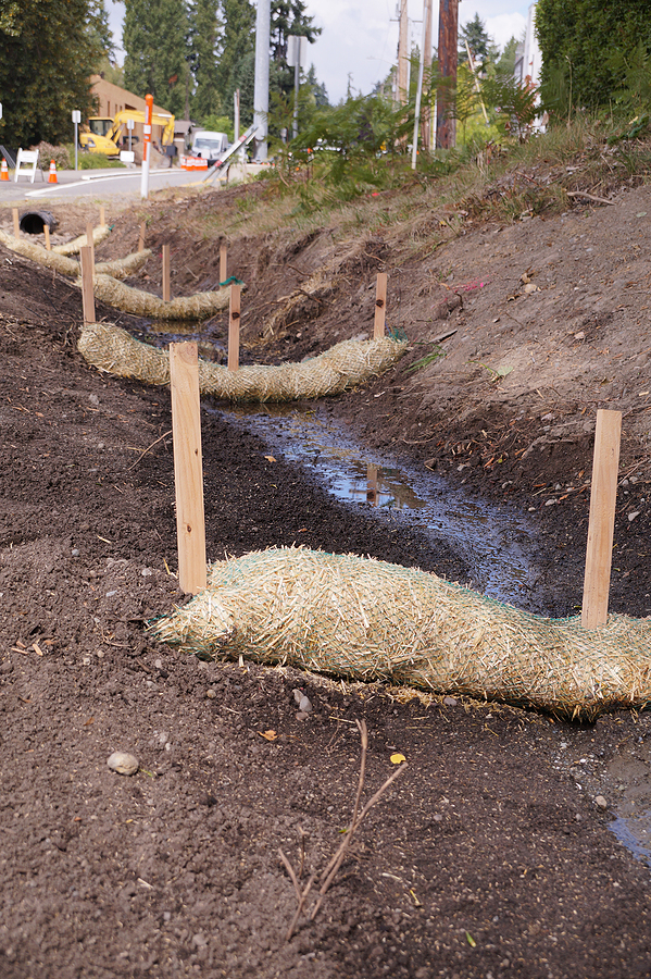 erosion control